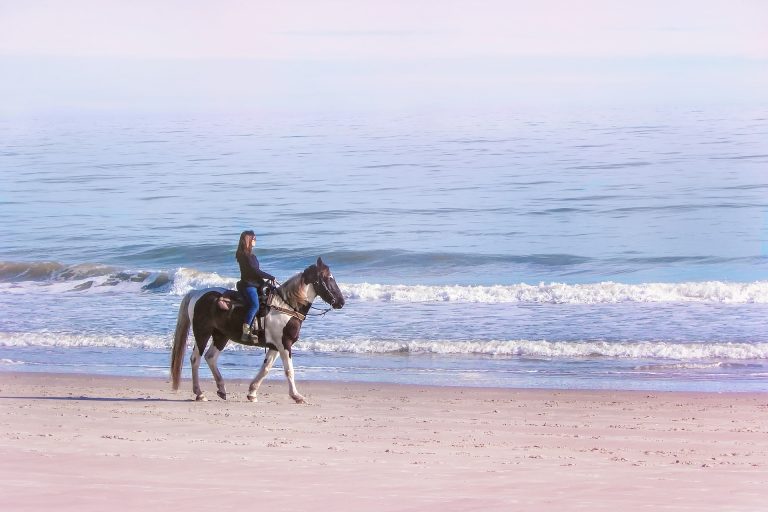🐴 Horse Riding on the Beach – Courses and tours in Nerja ⭐
